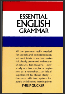 Rich Results on Google's SERP when searching for 'Essential English Grammar'